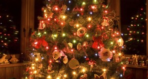 How to Choose the right Christmas tree