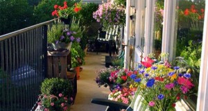 10 Beautiful ideas to decorating balcony