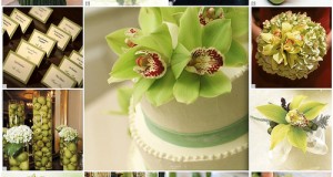 Errors during your wedding colors selection