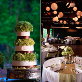 Make your wedding Friendly with environment
