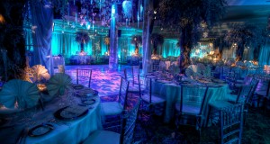wedding winter decorations with snow color