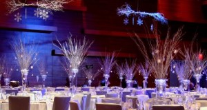 Wedding Ceremony Decorations with winter theme