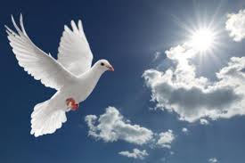 eventsstyle.com 12113 Anniversary of the day of Pentecost 2014
