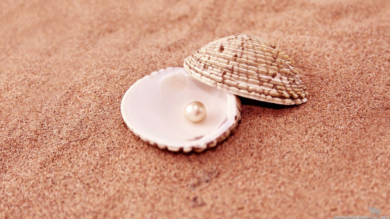 eventsstyle.com 16058 Nice pearl in shell wallpapers for desktop 2014