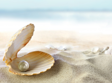 eventsstyle.com 16059 Nice pearl in shell wallpapers for desktop 2014