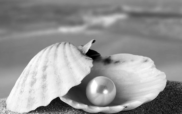 eventsstyle.com 16062 Nice pearl in shell wallpapers for desktop 2014