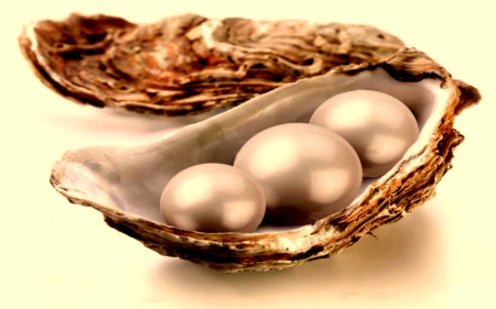 eventsstyle.com 16063 Nice pearl in shell wallpapers for desktop 2014