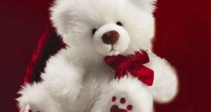 Happy Teddy Day wallpapers 2014