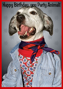 eventsstyle.com 35156 Cutest dogs birthday outfit ideas 2014