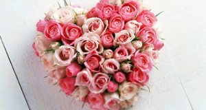 Valentine Day Roses Pictures 2014