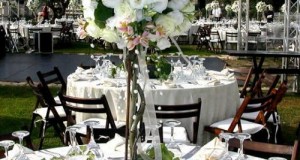 2014 Exotica wedding decoration