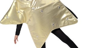 How to Make a Christmas star costume