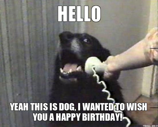 eventsstyle.com 60540 cute dog birthday meme