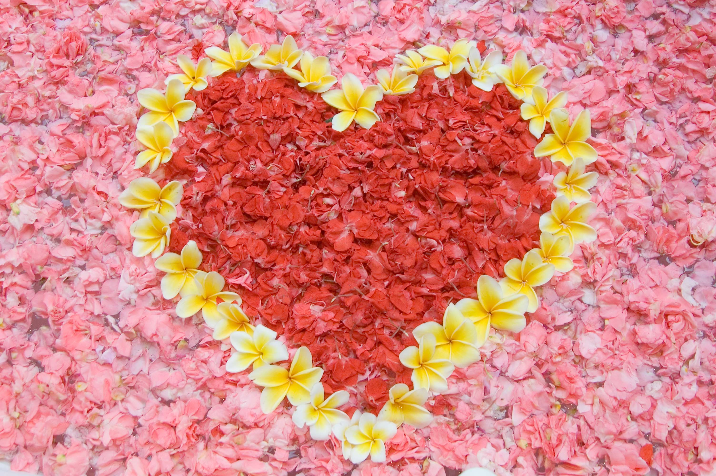eventsstyles1549 beautiful Honeymoon flowers ideas  