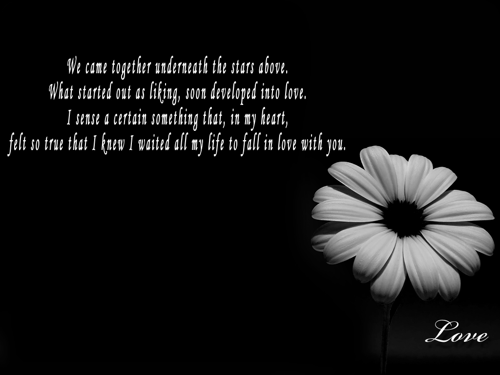 eventsstyles3237 romantic  Love quotes