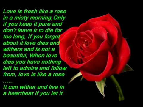 eventsstyles3519 Cute love poems for lovers 2014