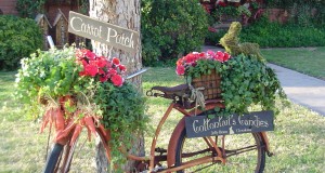 garden decorations photos ideas