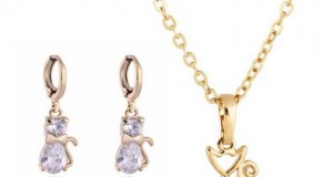 Jewelry in Pet form 2015