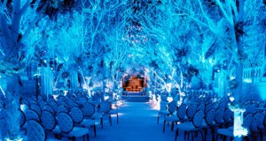 How to choose wedding perfumes in 2015