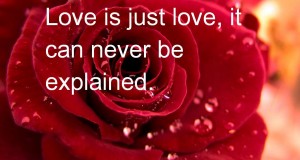 Top 10 valentine’s day quotes 2014