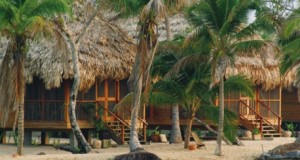 Unforgettable honeymoon reviews