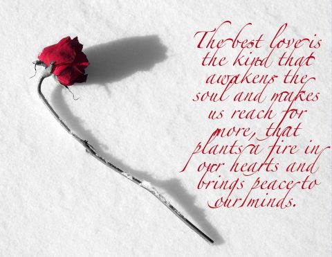 the best love Romantic Wedding quotes 2014