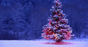 Merry Santa Christmas day