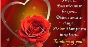 Valentine’s Day Quotes For Wife & Husband