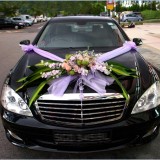 Modern Decorations for wedding car 2014