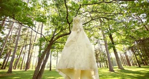The most beautiful wedding in the nature
